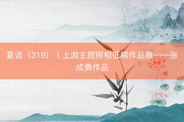 夏语（319）｜上游主题照相征稿作品展——张成勇作品
